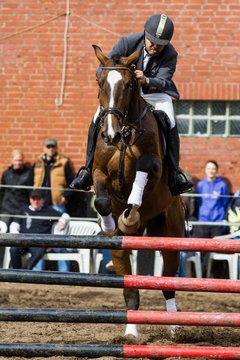 Bild 190 - Reitschule Jan�en Jubil�um